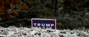 Trump Snow