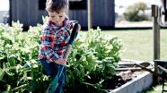 How to start a kid-friendly vegetable garden
