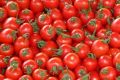 Woolworths has dumped SPC Ardmona as its tinned tomato supplier.