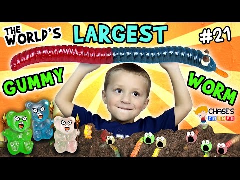 Chase's Corner: World's Largest Gummy Worm Fight w/ Oreos Dirt - Ahhhh SNAKE!! (#21) | DOH MUCH FUN