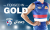 Clubs’ 2017 jumpers: Dogs go gold