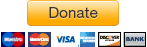 Donate Button with Credit Cards