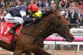 Kerrin McEvoy rides Almandin to victory in the Melbourne Cup.