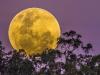 Missed the supermoon? Don’t worry