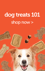 Dog Treat 101