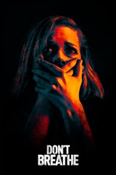 Don't breathe - La maison des ténèbres