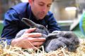 Lort Smith Animal Hospital services head, with rabbits Shadow and Thunder. 