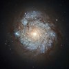 File - This image, taken by the NASA/ESA Hubble Space Telescopes Wide Field Planetary Camera 2, shows a spiral galaxy named NGC 278.