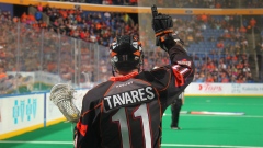 John Tavares