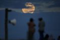 People watch as the super moon rises out of the clouds at Wanda Beach, Cronulla.