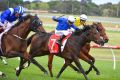  Glyn Schofield riding Beautiful Romance (ctr) defeats Damien Oliver riding Almoonqith and Damian Lane riding Big Orange ...