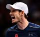 Dedication and effort: Andy Murray is hoping to become just the fourth man in 13 years to be crowned the ATP's year-end No.1.