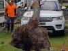 Storm causes havoc at airport, port