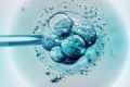 IVF providers have been caught in a "race to the bottom", ACCC says.