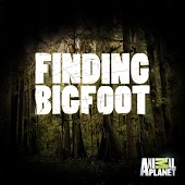 Finding Bigfoot