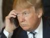 Trump and Putin’s love-in phone call