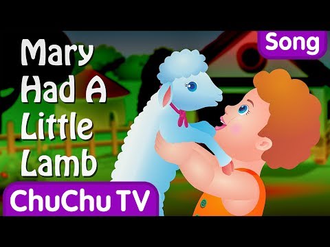 Mary Had A Little Lamb Nursery Rhyme With Lyrics - Cartoon Animation Rhymes & Songs for Children