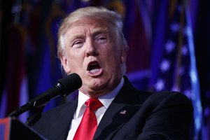 President-elect Donald Trump speaks during an election night rally, Wednesday, Nov. 9, 2016, in New York.