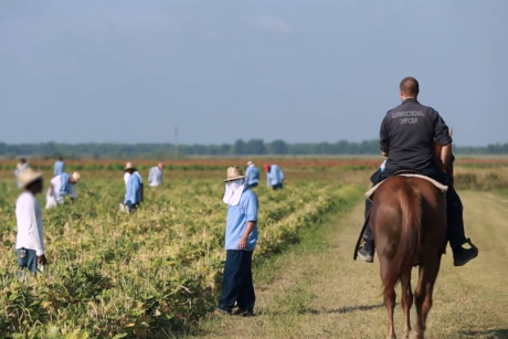 US prison labourers