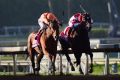 Battle for the ages: Gary Stevens aboard Beholder and Mike Smith aboard Songbird stage a titanic tussle in the Longines ...