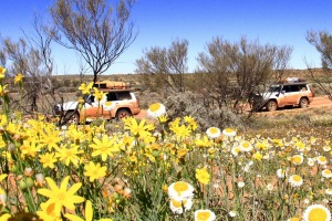 See outback NSW on a five-day tour.