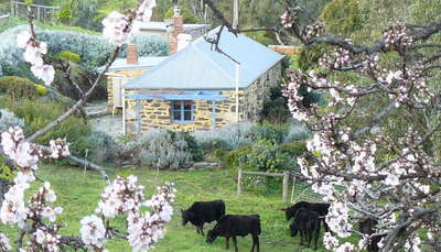 Private, self-contained cottage