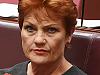 Hanson supports backpacker tax cut