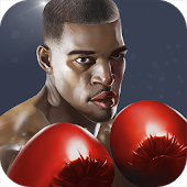 Punch Boxing 3D