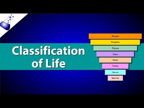 Classification of Life