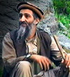 Binladen