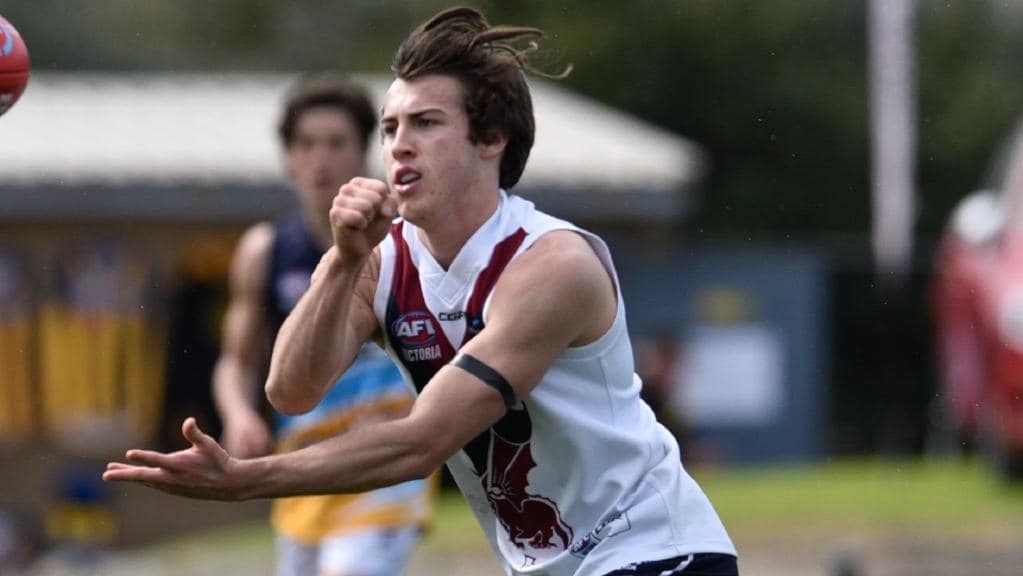 Andy McGrath in action for Sandringham Dragons. Picture: Christopher Chan