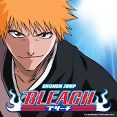 Bleach