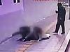 CCTV captures sinkhole swallowing couple