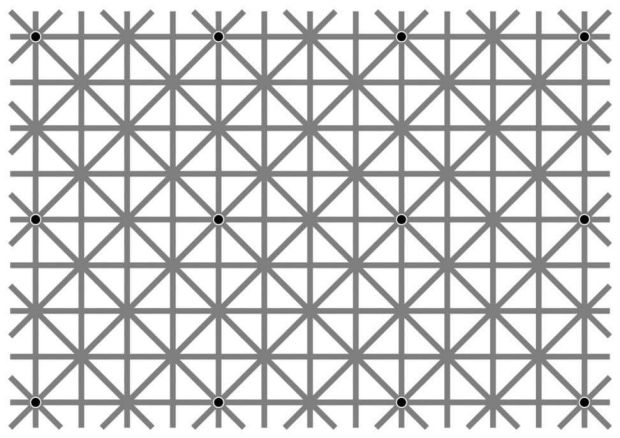 How many dots can you see in the so-called Scintillating Grid? 