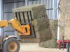 Export hay plant for Ultima