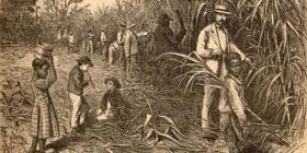 Plantation slavery