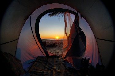 Secluded beach in northern NSW. Spent the night around the fire with good friends. Peaked out of the tent and instantly ...