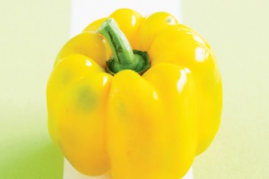 Yellow capsicum