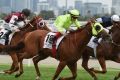 Railway homecoming: He Or She was impressive in winning the Blamey Stakes at Flemington this year.