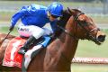 Kerrin McEvoy, aboard Qewy, wins the Sandown Cup.