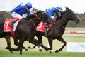 Craig Williams riding Morton's Fork defeats Luke Nolen riding Ruthven in Race 6, Ladbrokes Sandown Guineas during ...