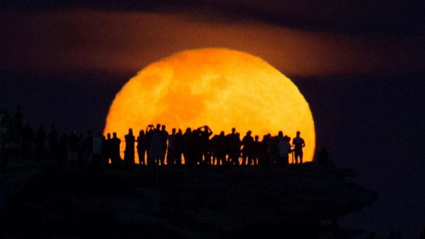 The moon rises above Ben Buckler point at Bondi, Sydney, a day after the official supermoon which was obscured by ...