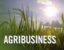 agribusiness