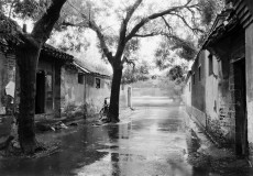 The Hutongs - If you go off just slightly to the two sides of the somewhat wider Tian’anmen area, you will see that these narrow alleyways and delightful buidlings that formed the city over a thousand years ago.