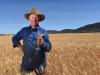 State’s $2.5bn fields of gold