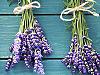 How to make natural lavender, vinegar and vodka disinfectant