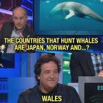 Best jokes from Channel 10’s HYBPA.