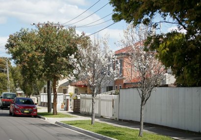 The Melbourne suburb that even real estate agents want to keep secret