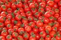 Woolworths has dumped SPC Ardmona as its tinned tomato supplier.