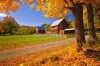 A New England farm surrounded by Autumn maples, US.